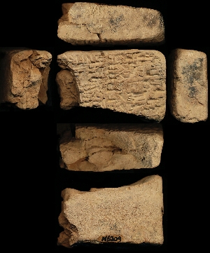 N6209