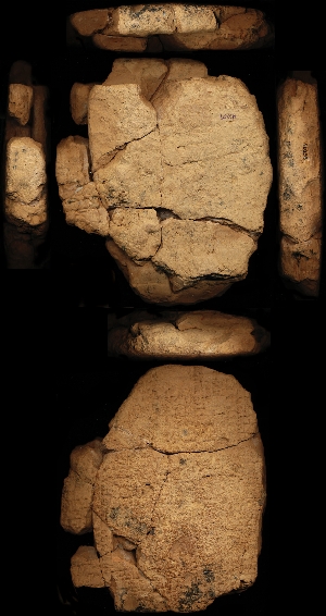 N6259