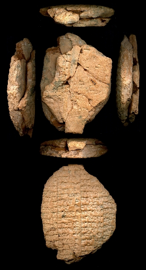 CBS6419
