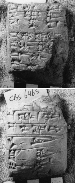 CBS6465