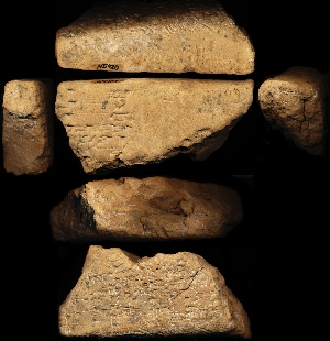 N5929