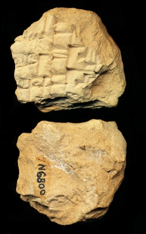 N6800