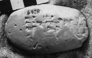 CBS8269