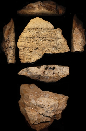 N5923