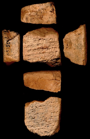 N5350