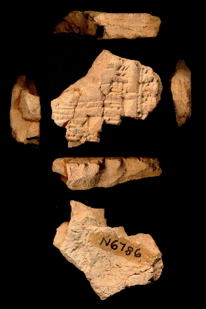N6786