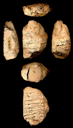 N6018