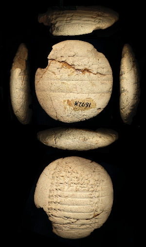 N7691