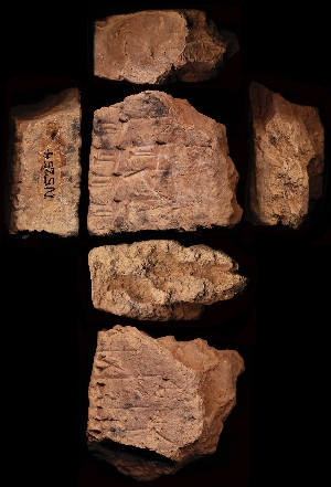 N5254