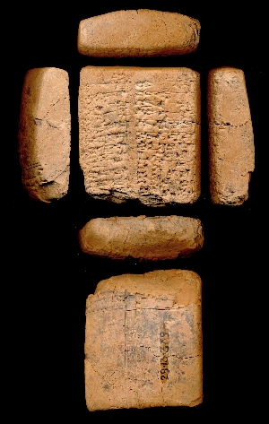 29-13-389