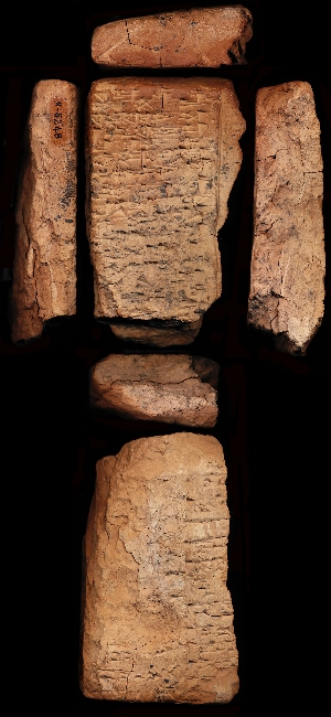 N5248