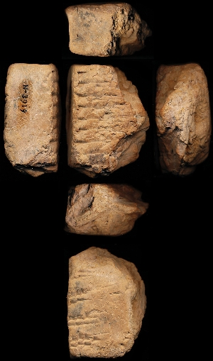 N3919