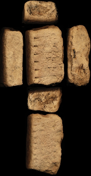 N6255