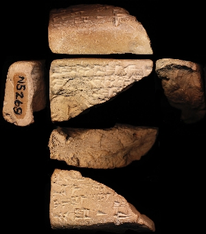 N5269