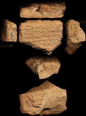 N3269
