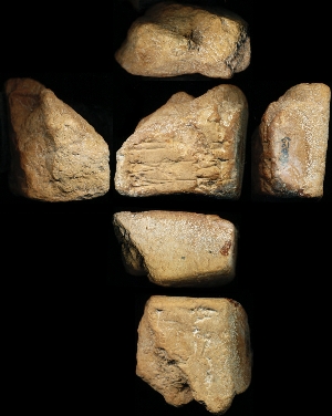 N6029