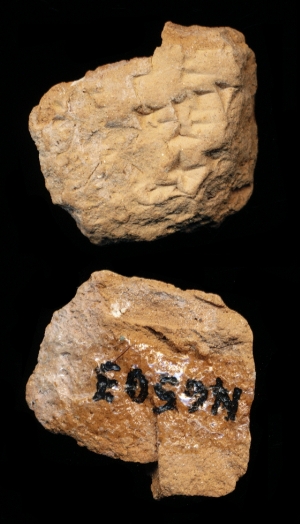 N6503