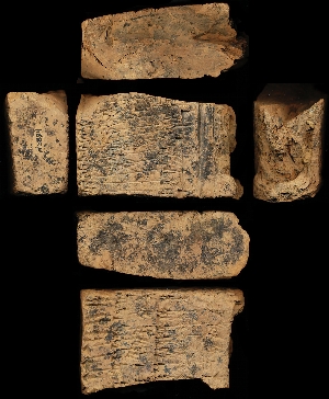 N3894