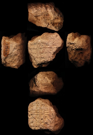 N4921