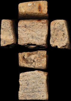 N6091