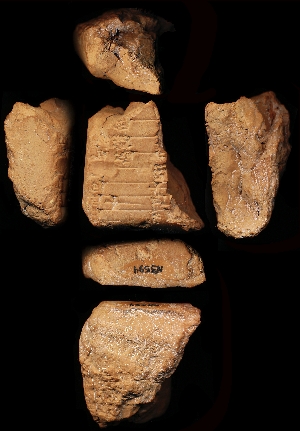 N5594