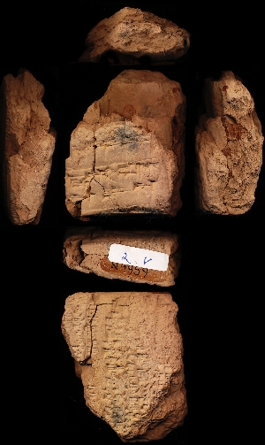 N4959
