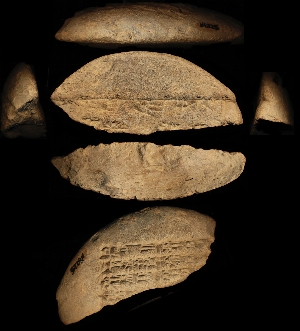 N6225