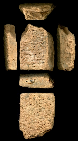 N6119