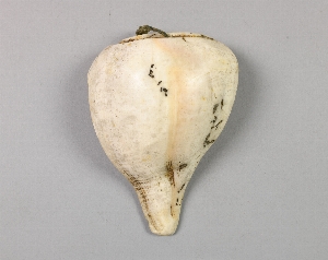 A18A