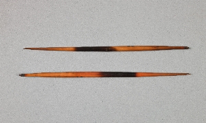 A66.2