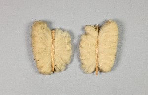 A81.2