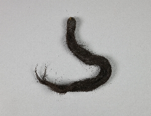 A90