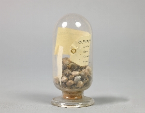 A376
