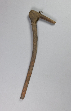 A317