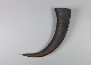 A239