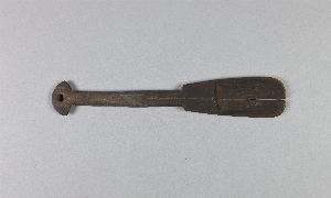 A295E