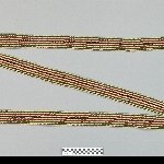750722