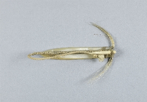 L-180-82