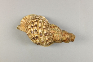 L-180-30
