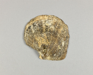 L-180-34