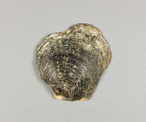 L-180-35