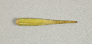L-180-51