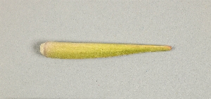 L-180-55
