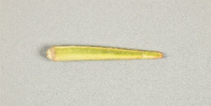 L-180-56