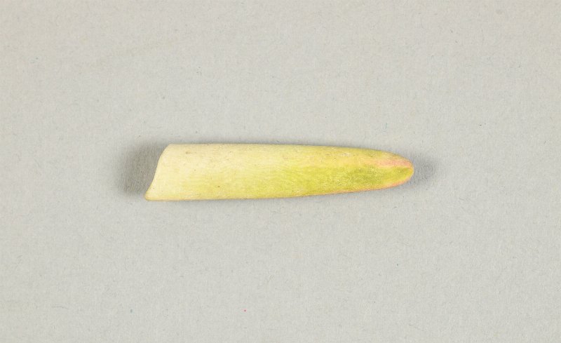 751128