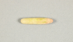 L-180-63