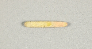 L-180-65