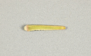 L-180-66