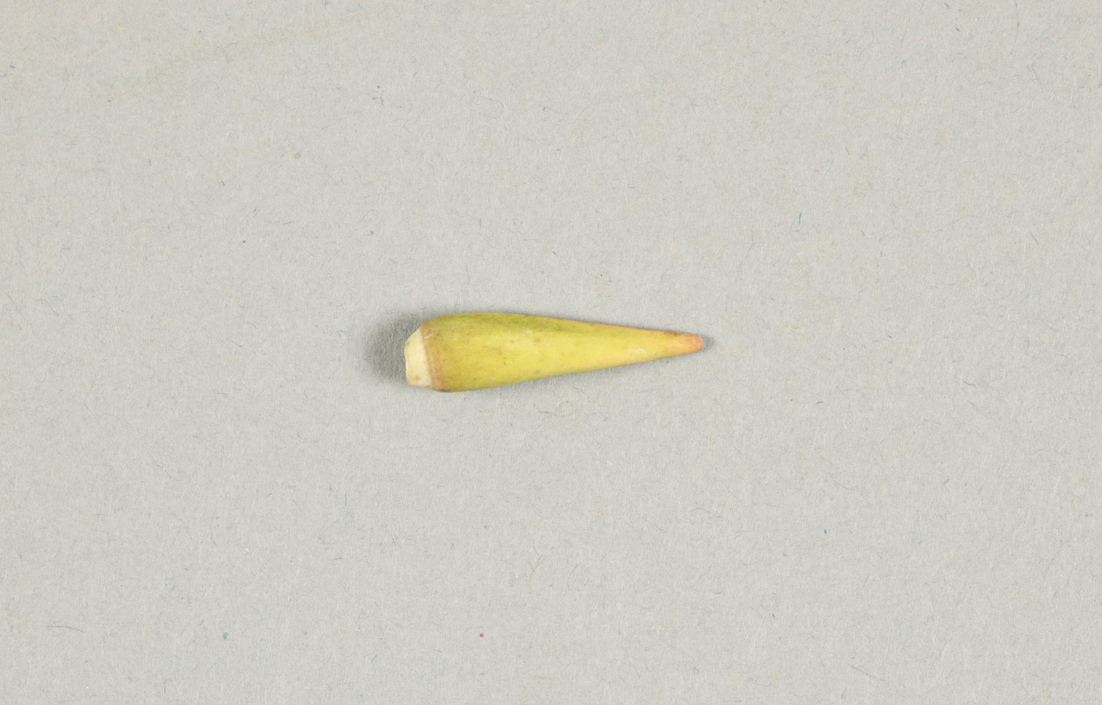 751136