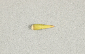 L-180-69